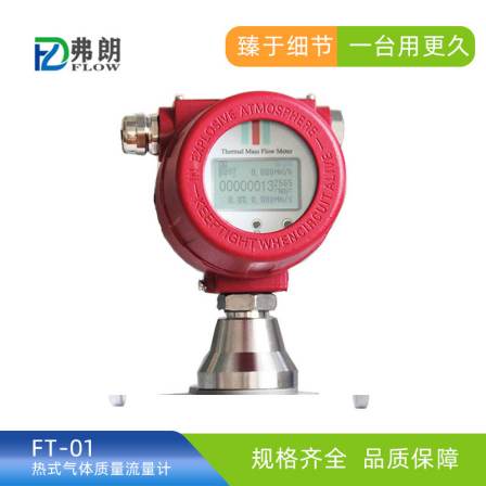Thermal Gas Mass Flowmeter FT-01 Pipeline Insertion Compression Meter