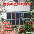 Dehumidification and heating, 8 pieces, 12 pieces, refrigeration equipment, greenhouse cherry dormancy machine, quality control unit