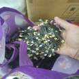 Long term high price recycling of gold plating waste, electronic IC chips, PCB circuit board scraps