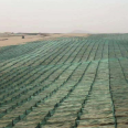 Green sand prevention net for sand crossing highways, high-density composite materials for wind and sand fixation in deserts