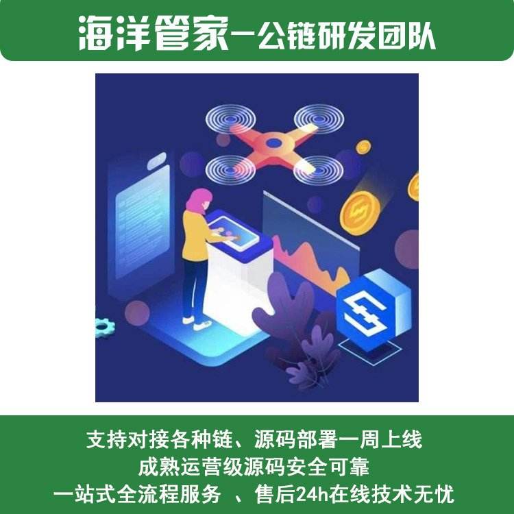 Public Chain Customization Platform Lingxiu Giant Computer Public Chain Game Smart Contract One Stop Service