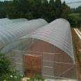 Tai You Yi's multi-span film greenhouse has good light transmittance, and large area vegetable planting is covered by plastic greenhouse labor and materials