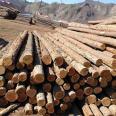 River flood prevention, pine stakes, landscaping engineering, green building, ground retaining, civil engineering, pile, cedar pole, round wood, Hongyuan Building Materials