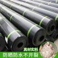 Kai Li Zi Impervious Membrane Waterproof Film Black Geomembrane Plastic Film for Shrimp Pond, Fish Pond, and Fish Pond