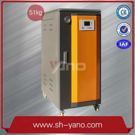 Yangnuo Boiler Circulating Heating and Central Heating 36kw Electric Steam Generator Electric Boiler