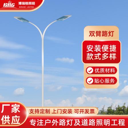 LED double arm street lamp, 8m, 9m, 10m, 12m, road, electricity, outdoor lighting, high and low arm double head road lamp pole
