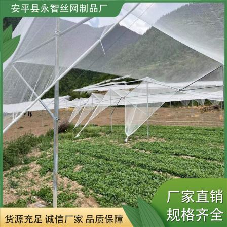 Orchard Hail Prevention Net Apple Grape Pear Tree Fish Pond Goji Berry Greenhouse Hail Prevention Net New Material