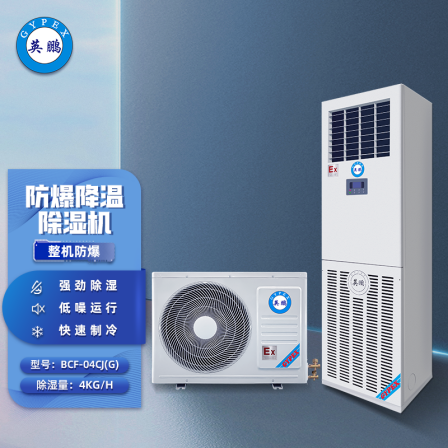 Yingpeng Explosion proof Cooling Dehumidifier Industrial Dehumidifier BCF-04CJ (G) Dehumidifying capacity 4kg/h 220V