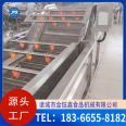 Manufacturer of customized coriander bubble cleaning machine and fennel cleaning assembly line