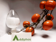 Lai De Fu Addiphos Sodium Polyphosphate Food Additive Factory Meat Product Emulsifier Antioxidant