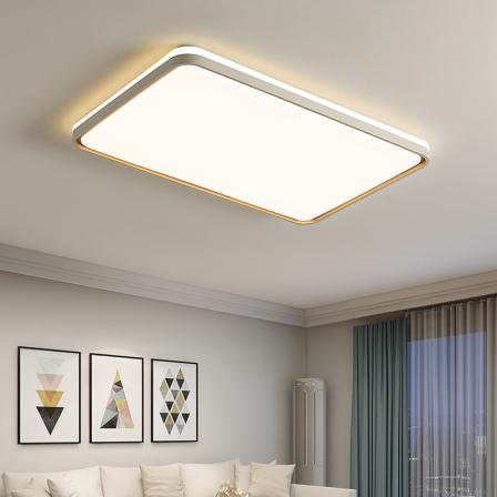 2023 New Living Room Light Atmosphere LED Ceiling Light Nordic Restaurant Bedroom Light Modern Simple Lighting Fixture