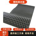 Aoxiang Geotechnical Factory supplies plastic drainage boards Garden Green roof Garden HDPE concave convex filter board