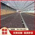 The specifications of galvanized mesh seedling facilities for watermelon seedling cultivation in mobile seedbed and sunlight greenhouse can be customized