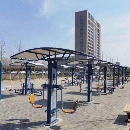 Outdoor Intelligent Fitness Equipment Second Generation Fitness Path Outdoor Community Park Sports Equipment Giant Winged Bird