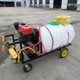 High pressure pump dosing machine cattle farm disinfection spray manual gasoline caustic soda disinfection machine