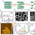 Single layer/few layer/multi-layer Ti2SnC colloidal aqueous solution MXenes material powder particle biomaterial customization 2D material synthesis customization