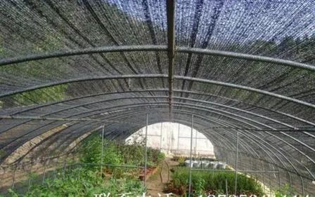 Greenhouse shading net for orchards, agricultural production, light blocking woven fabric shading net manufacturer, use for 5 years without aging