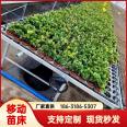 Hangdi greenhouse vegetable seedling rack, galvanized wire mesh mobile seedbed, flower seedbed