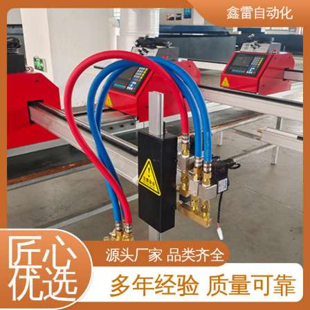 Portable Multilingual Interface Economic Applicable Standard Gantry Cutting Machine Xinlei