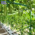 Kaiente winter melon column pumpkin flat shed support rod wrapped with felt fiberglass tube can be customized with 32mm