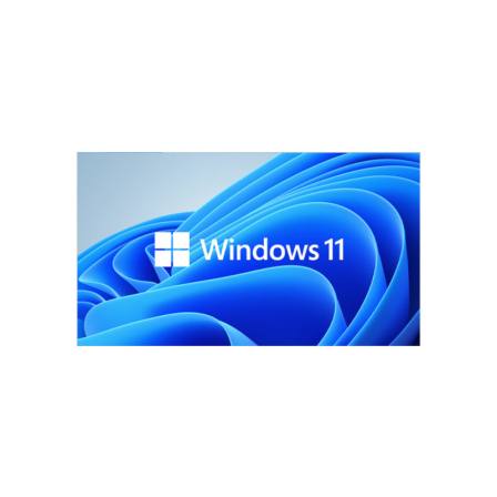 Microsoft Genuine Windows 11 Operating System Win11 Professional Edition supports multilingual 64 bit CDs