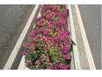 Viaduct vertical flower box municipal engineering Viaduct construction flower pots support customized overpass hanging green pots