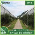 Chongqing Grape Greenhouse Film Arch Greenhouse Planting Blueberry Rain Shelter Processing Factory Greenhouse Materials Qingcheng Agriculture