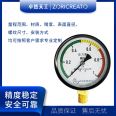 Zhuoran Tiangong P100 Ordinary Pressure Gauge Y100 Spring Tube Pointer Mechanical Fire Gas Pipe Made of Carbon Steel