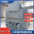 Biomass steam boiler manufacturer for edible mushrooms Sales of shiitake mushroom, mushroom, and fungus sterilization horizontal boilers