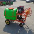 Supply of gasoline spray orchard sprayer hand push high-pressure sprayer