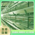 Breeding farm pure water equipment Xingning chicken farm equipment Xingning chicken breeding equipment Chicken self ingredient equipment Egg chicken meat chicken breeding equipment Chicken net equipment