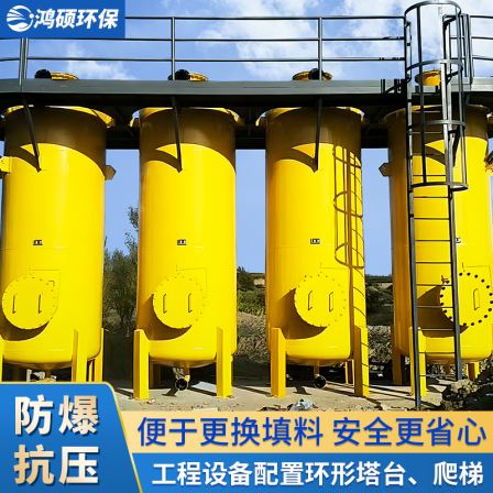 Biogas Desulfurization Tower Hongshuo Biogas Treatment Equipment Desulfurization Purification Tank Small Environmental Protection Desulfurization Purification Equipment