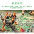 Preferred manufacturer of veterinary insecticides, lice and mites, specializing in chicken lice medicine breeding