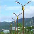 Customization of New Double Arm Solar LED Street Lamp for Rural Outdoor Road Lighting in Xinyonghong Community