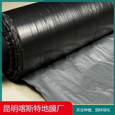 Customized manufacturer of silver gray and black plastic film for landscaping and greening, with sufficient inventory of ground covering film for water and soil conservation