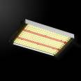 LED quantum board Grow light indoor greenhouse planting fill light full spectrum plant light