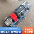 2CY2.1 stainless steel gear pump gear oil transfer pump electric fuel transfer pump
