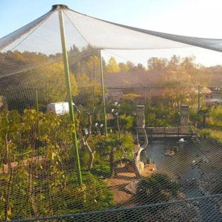 Hengding Customized Stainless Steel Woven Rope Net for Zoo Construction: Bainiaoyuan Sky Screen Net, Bird Whispering Forest Net