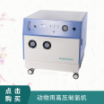 High pressure Oxygen concentrator for pets dedicated to animal anesthesia machine output pressure 0.4Mpa