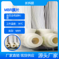 Hollow fiber (polyvinylidene fluoride) PVDF membrane MBR membrane bioreactor