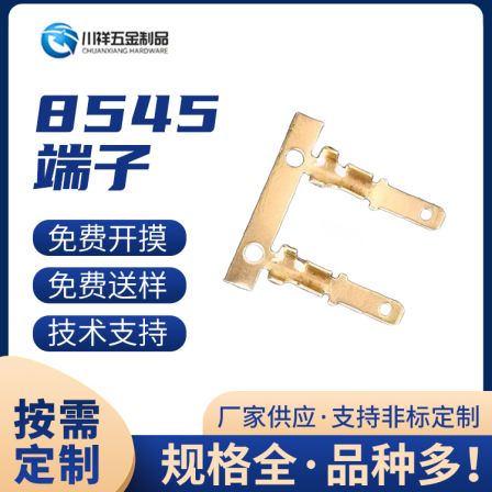 Plug terminal, high-voltage cable, socket connector, relay connection, plug-in device, wiring terminal, Chuanxiang Hardware