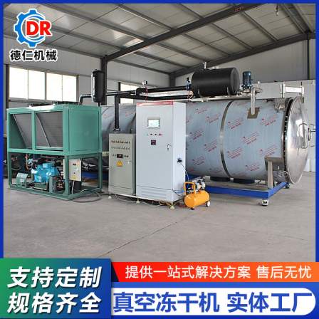 Deren Machinery Matsutake Freeze Drying Equipment Small Vacuum Freeze Drying Machine Cold Trap Device Widely Used