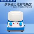 TWCL-DL-T-2 500ml multi link temperature regulating magnetic stirring electric heating jacket biochemical instrument