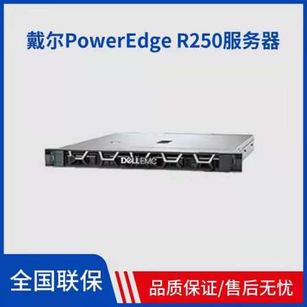 Dell PowerEdge R250 rack mounted server supports dual CPU hot swapping