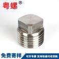 Stainless steel outer square plug, oil plug, blind pipe plug, all supporting specifications