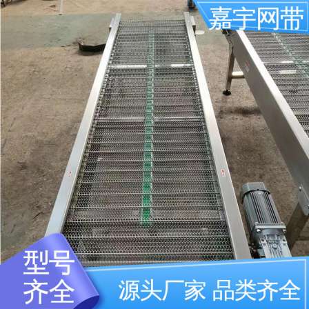 Jiayu Grain Fruit and Vegetable Belt Cleaning Assembly Line Mesh Belt Chain Plate Conveyor High Temperature Food Grade