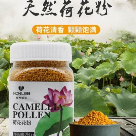 Lotus Powder 260g Natural Pure Bee pollen 1 kg 716 Self built Green Bee Farms in China Our Organic Certification Export Quality Village Natural Pollen Factory Bee Wholesale Purchase