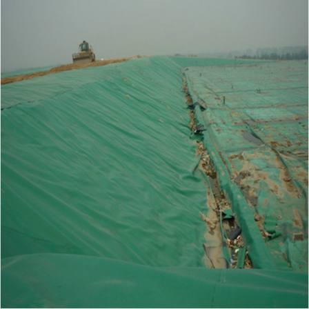 2mm geomembrane landfill area anti-seepage film 0.75mm HDPE covering film support customization