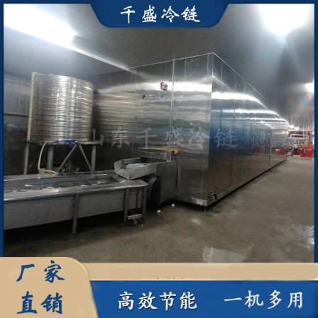 Instant Sea Cucumber Tunnel Type Quick Freezer Multifunctional Single Freezer Winged Fruit and Vegetable Low Temperature Quick Freezing Equipment