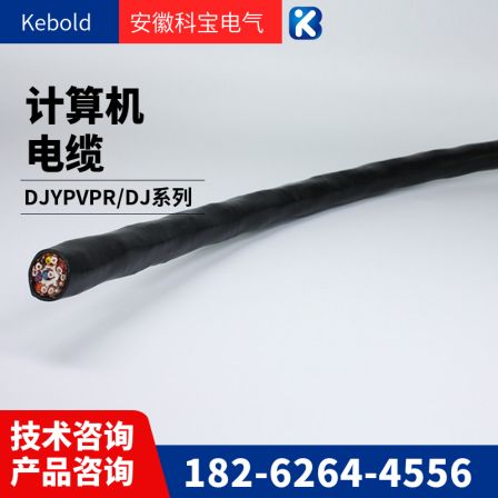 DJYVP2/DJYVP3/DJYPVP/DJYP2VP2 Computer Cable - Polyethylene Insulated Computer Cable